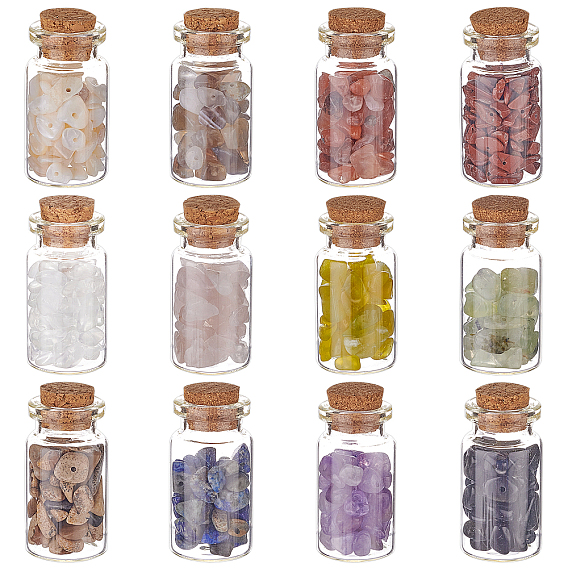 DIY 144g 12 Style Beads Set, Including Natural Mixed Gemstone Chip Beads, Shell Beads