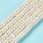 Natural Cultured Freshwater Pearl Beads Strands, Rondelle, Grade 6A