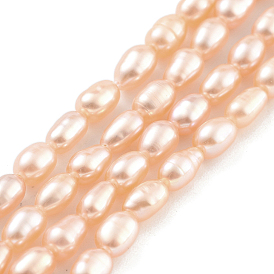 Natural Cultured Freshwater Pearl Beads Strands, Rice, Grade 6A