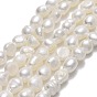 Natural Cultured Freshwater Pearl Beads Strands, Two Sides Polished