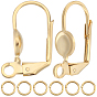 20 шт. латунные серьги с рычагом, закрепка сережек с горизонтальными петлями, с 20 соединительными кольцами