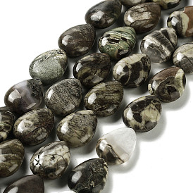 Natural Wealth Stone Jasper Beads Strands, Teardrop