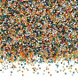 200G FGB Grade A Round Glass Seed Beads, Transparent Colours Rainbow