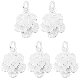 5 шт. 925 подвески из стерлингового серебра, с прыжковых колец, серебряный цвет гальваническим, с 1 тканью для полировки листового серебра