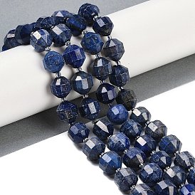 Natural Lapis Lazuli Beads Strands, Faceted, Bicone, Double Terminated Point Prism Beads