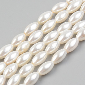 Natural Freshwater Shell Beads Strands, Rice