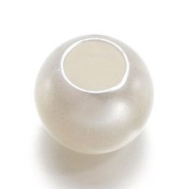 30pcs perles européennes en plastique ABS, Perles avec un grand trou   , rondelle