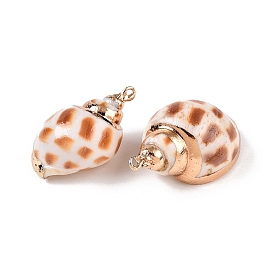 Natural Sea Shell Pendants, Shell Shaped Charms with Golden Tone Iron Loops