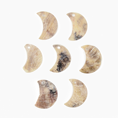 Natural Akoya Shell Pendants, Mother of Pearl Shell Pendants, Moon