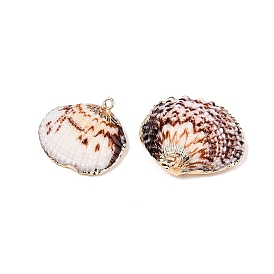 Natural Sea Shell Pendants, Shell Shaped Charms with Golden Tone Iron Loops