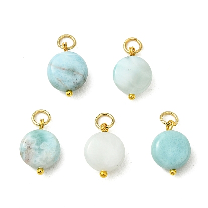 Colgantes larimar naturales, dijes de monedas con 304 anillas de salto abiertas de acero inoxidable, dorado