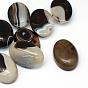 Oval Dyed Natural Striped Agate/Banded Agate Cabochons, 29~30x19~20x6~7mm