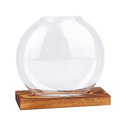 Glass Vase, with Natural Wood Base, Oval