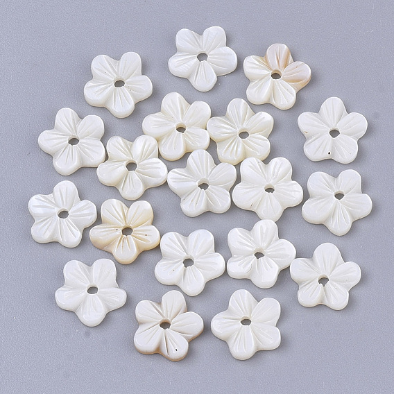 Natural Freshwater Shell Beads, Undyed, Flower