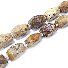 Natural Fossil Coral Beads Strands, Faceted, Oval