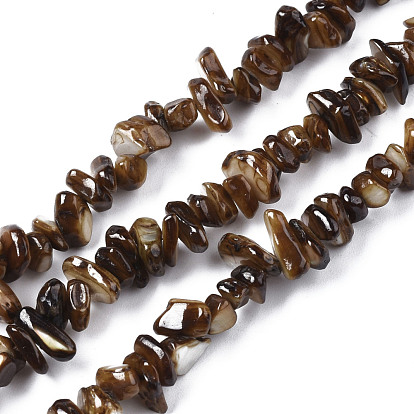 Natural Freshwater Shell Beads Strands, Chips