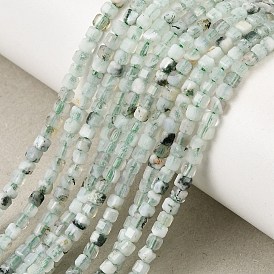 Natural Tree Agate Beads Strands, Faceted Table Cut Cube