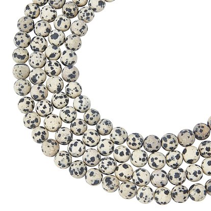Natural Dalmatian Jasper Beads Strands, Frosted, Round