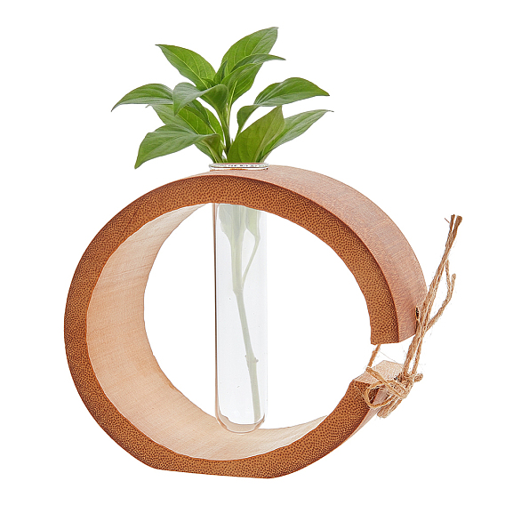 Jarrón hidropónico de vidrio, con base de bambú