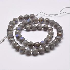 Natural Labradorite Beads Strands, Round