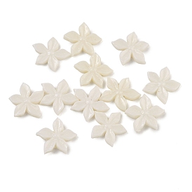 Cabochons en résine (défauts : jaunissement), accessoires nail art de décoration, fleur