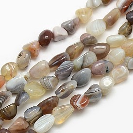 Pépites naturelles agate de botswana perles brins, pierre tombée, 8~12x8~12mm, Trou: 1mm, Environ 44 pcs/chapelet, 15.5 pouce