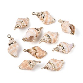 Подвески из натуральных морских ракушек, покрытые гальваническим способом, подвески в форме ракушек, с медными петлями, золотые