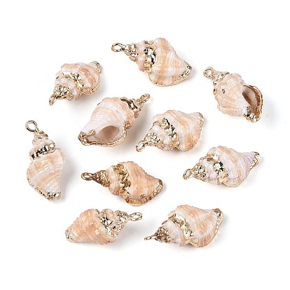 Подвески из натуральных морских ракушек, покрытые гальваническим способом, подвески в форме ракушек, с медными петлями, золотые