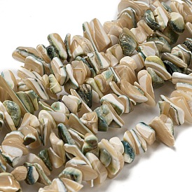 Luminous Natural Seashell Shell Beads Strands, Dyed, Nuggets