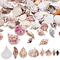 96 pcs 8 styles pendentifs en coquillage, avec du fil de cuivre