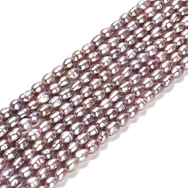 Natural Cultured Freshwater Pearl Beads Strands, Rice, Grade 3A