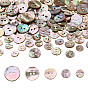 Пуговицы из натуральной ракушки пауа, 2-луночное, плоско-круглые