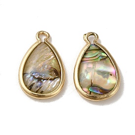 Natural Paua Shell Resin Pendants, with Brass Findings, Teardrop Charms