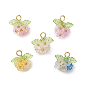 Прозрачные акриловые подвески, цветок, с латунной и железной петлей