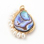Teardrop Natural Paua Shell Pendants, Wire Wrapped Pendants, with Natural Cultured Freshwater Pearl Beads and Eco-Friendly Copper Wire