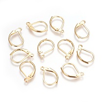 304 Stainless Steel Leverback Earrings Findings, with Loop