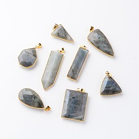 Mixed Shapes Natural Labradorite Pendants, with Golden Tone Brass Findings, 29~57x12.5~27x5~8mm, Hole: 5x4mm
