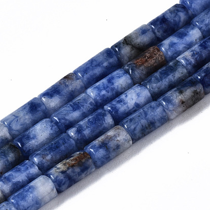 Natural Blue Spot Jasper Beads Strands, Column
