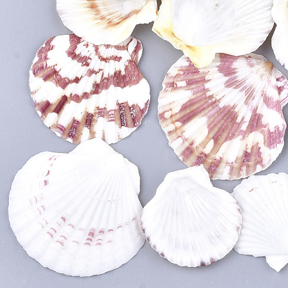 Natural Scallop Shell Beads, Sea Shell Beads, Undrilled/No Hole Beads