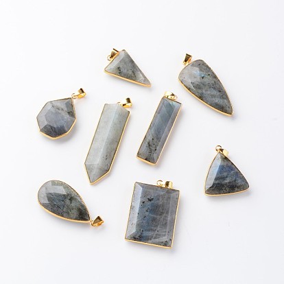 Mixed Shapes Natural Labradorite Pendants, with Golden Tone Brass Findings, 29~57x12.5~27x5~8mm, Hole: 5x4mm