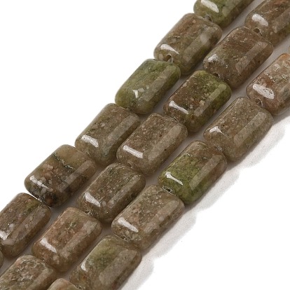 Natural China Unakite Beads Strands, Rectangle