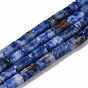 Natural Blue Spot Jasper Beads Strands, Column