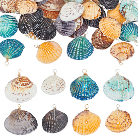 40 шт. Подвески из натуральных ракушек, с медной проволокой