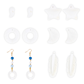 Natural Freshwater Shell Pendants, Mixed Shapes
