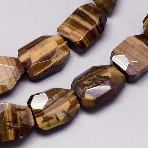Natural Tiger Eye Beads Strands, Faceted, Rectangle