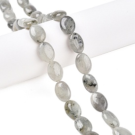 Natural Labradorite Beads Strands, Flat Oval