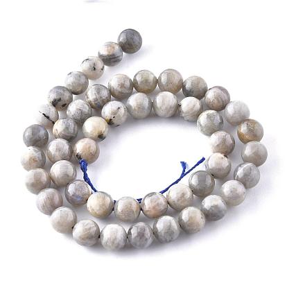 Natural Labradorite Beads Strands,  Round, Hole: 1mm