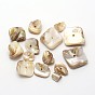 Natural Freshwater Shell Beads, 7~18x4~11mm, Hole: 1mm, about 330pcs/500g