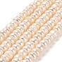 Natural Cultured Freshwater Pearl Beads Strands, Grade A+, Rondelle