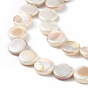 Electroplated Natural Freshwater Shell Beads Strands, AB Color, Flat Found